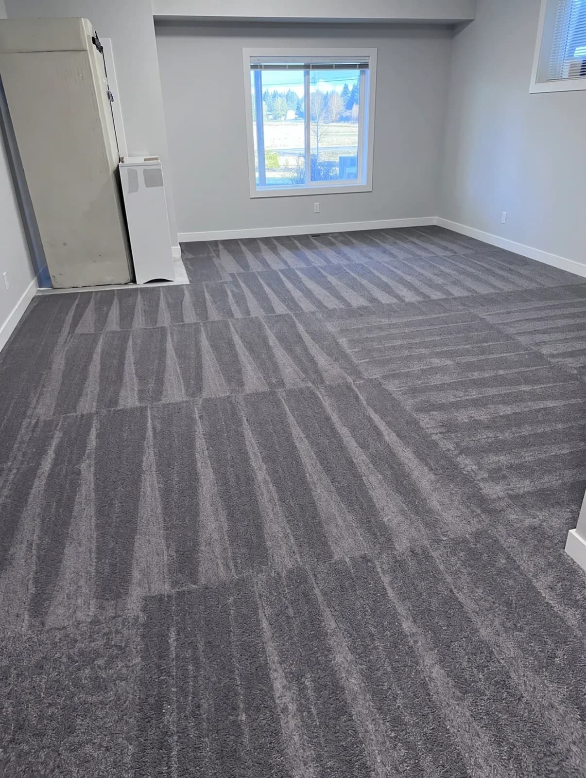 Freshly steam-cleaned grey carpet with even vacuum lines in a bright room