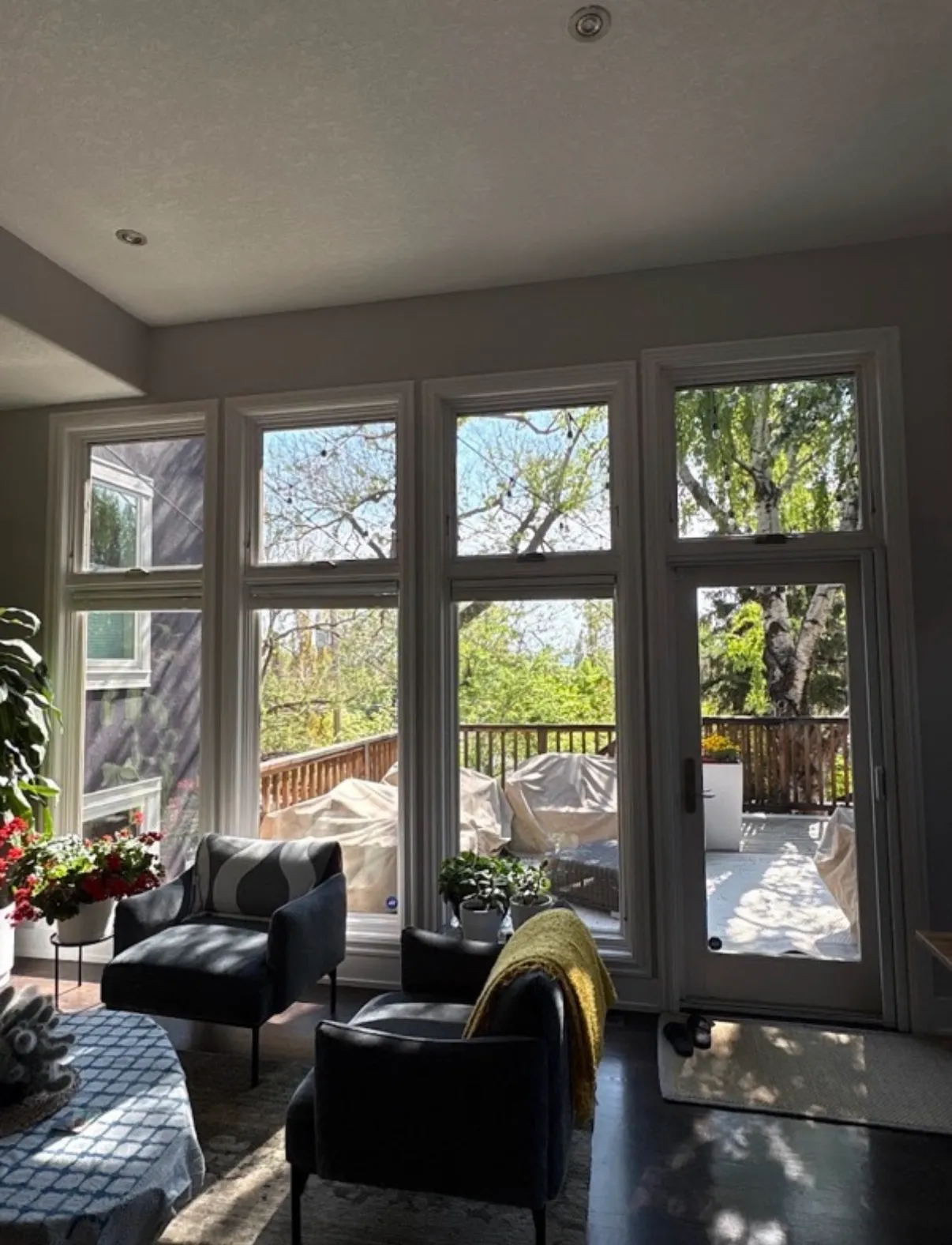 Bright living room with clean floor-to-ceiling windows letting in low winter light