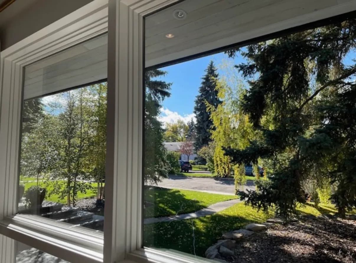 Streak-free interior window framing a sunny, tree-lined Calgary yard